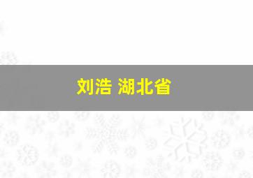 刘浩 湖北省